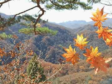 网红又出事？泡芙视频刚刚曝出花絮内幕，全网热议不断