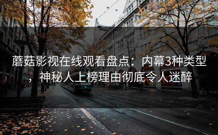 蘑菇影视在线观看盘点：内幕3种类型，神秘人上榜理由彻底令人迷醉